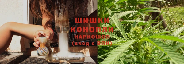 твердый Арсеньев