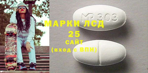 прущий лед Алзамай