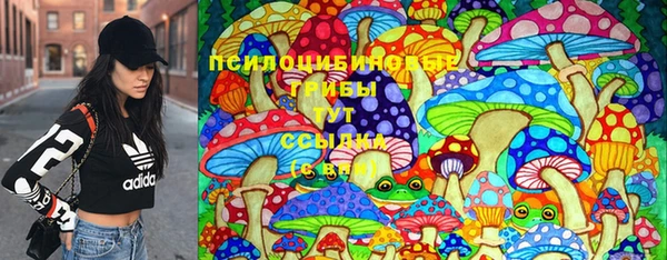 твердый Алексин