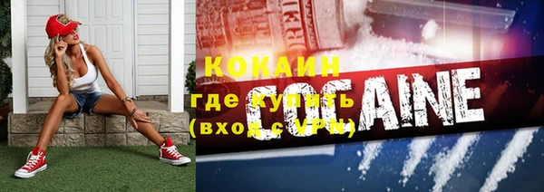 твердый Алексин